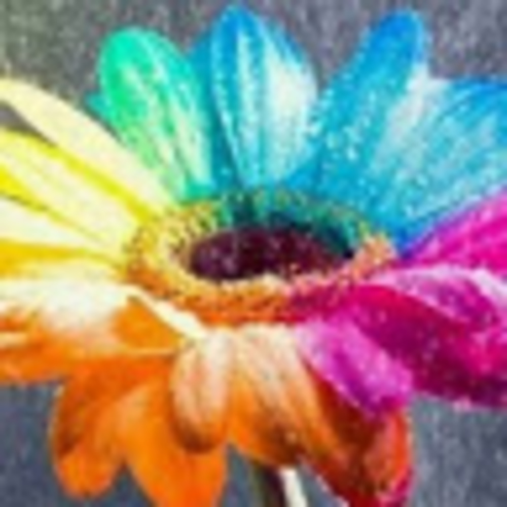 Meet your Posher, Ilyana